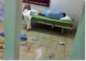 صورة